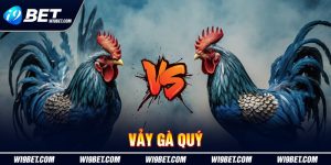 Vảy gà quý i9Bet