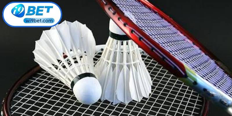 Luật Cầu Lông Mới Nhất Và Những Quy Định Quan Trọng