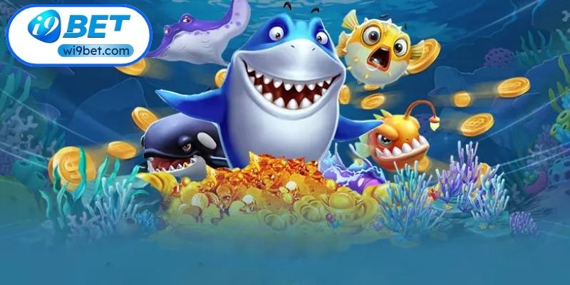 Luôn tỉnh táo để kiểm soát tốt nguồn vốn khi săn cá Luôn tỉnh táo để kiểm soát tốt nguồn vốn khi săn cá